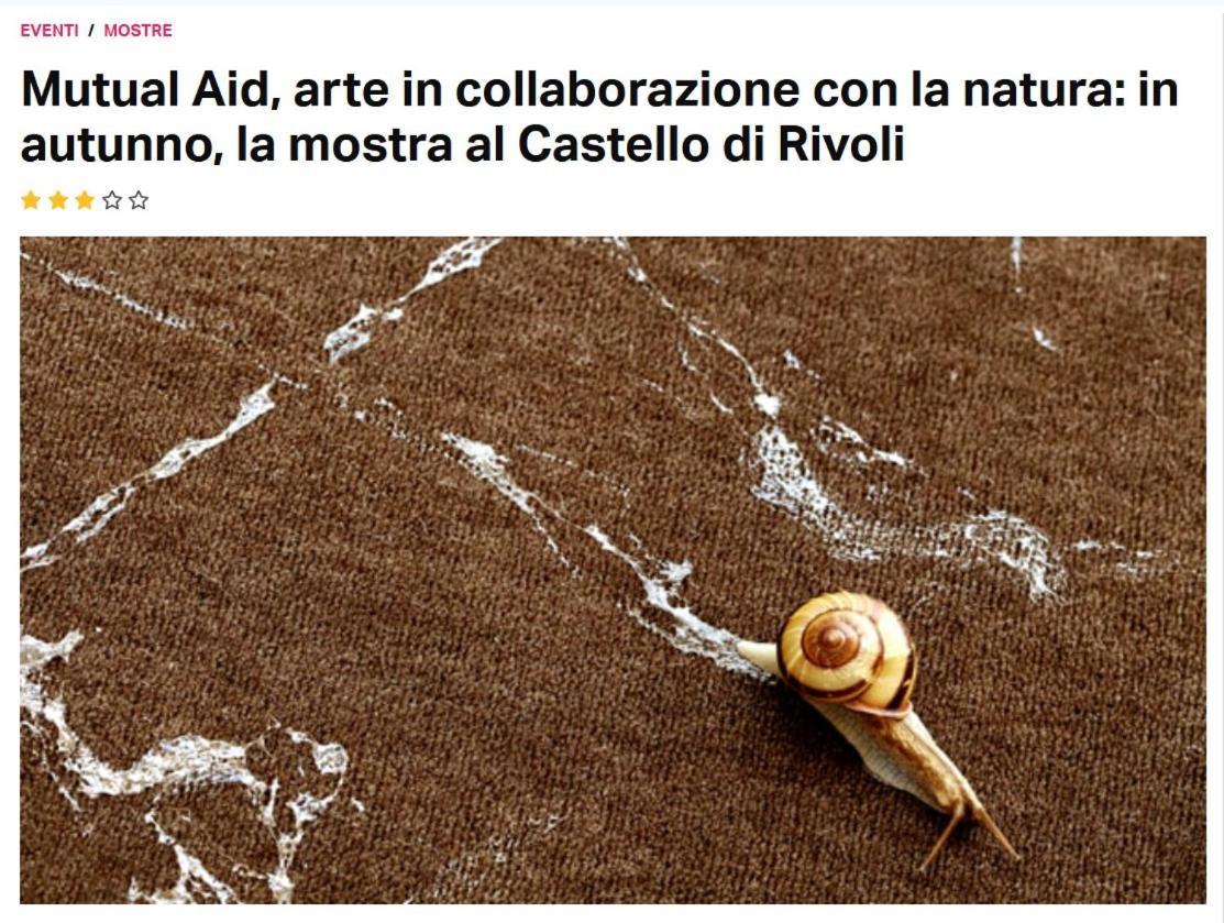 La Casa Di Silvio Ai Giardini Reali Apartment Turin Exterior photo